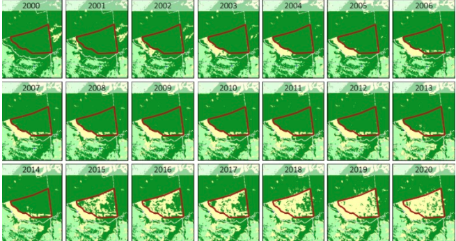 Unknown deforestation agents